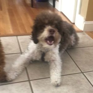 Meet your Posher, Marlena